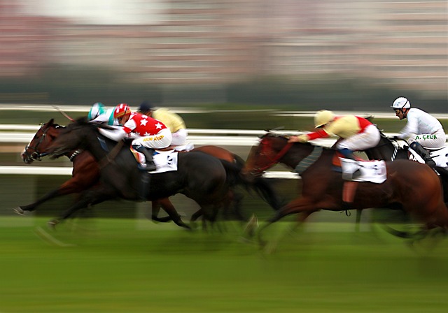Fantasy Sports Betting