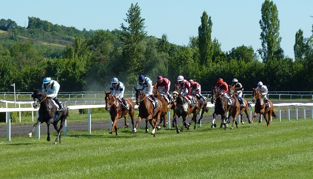 Fantasy Sports Betting