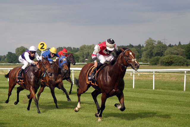 Analytics in Sports Betting