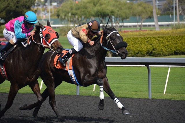 Analytics in Sports Betting